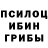 Галлюциногенные грибы MAGIC MUSHROOMS bearface1