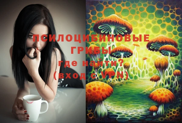 герыч Липки