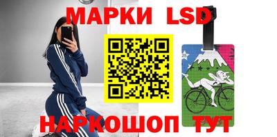спиды Камышлов