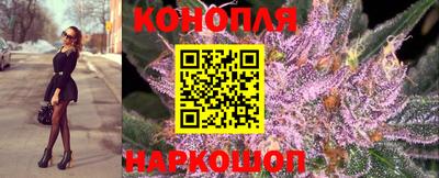 спиды Камышлов