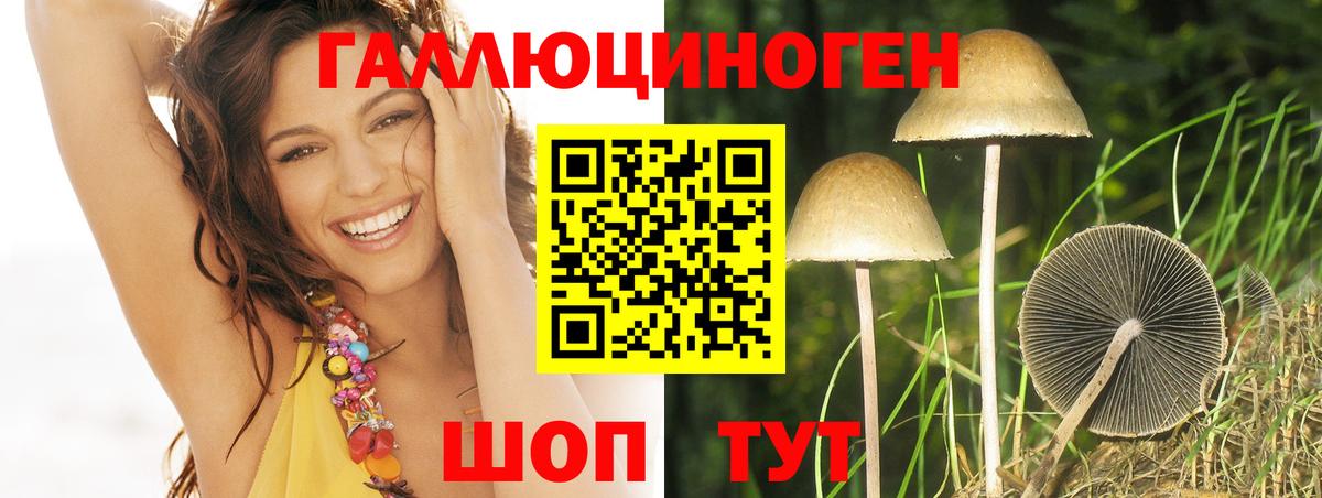 Нарткала  Галлюциногенные грибы Magic Shrooms  Вход с VPN 