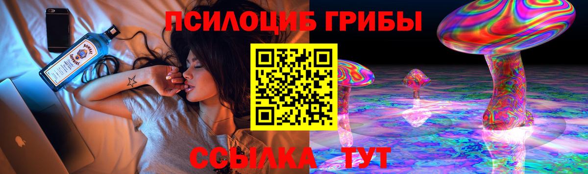 Псилоцибиновые грибы мицелий  Нарткала 